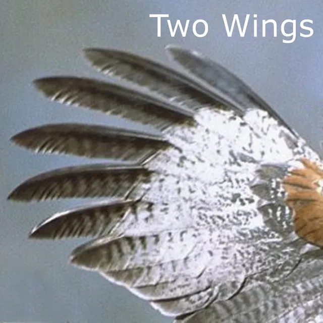 Two Wings