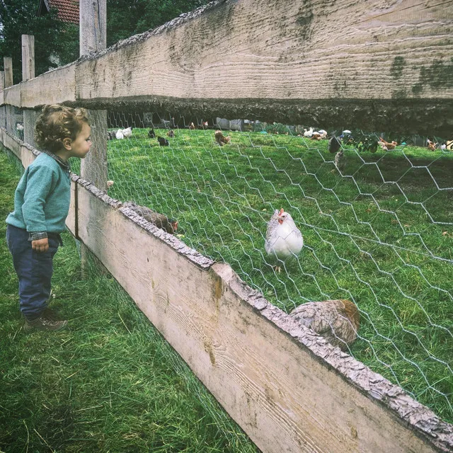 Old McDonald Had a Farm - Lullaby