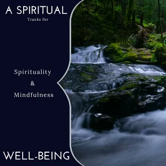 A Spiritual Well-Being - Tracks For Spirituality & Mindfulness by White Noise Aura Purification Sounds