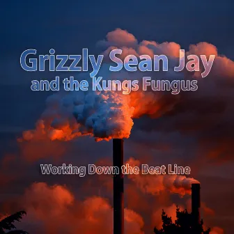 Working Down the Beat Line by Grizzly Sean Jay and the Kungs Fungus