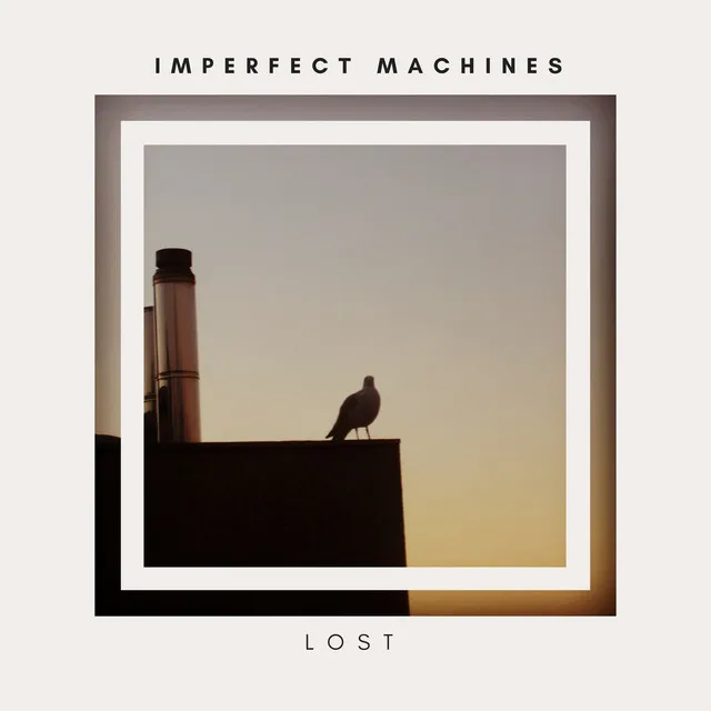 Imperfect Machines