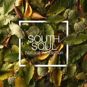 Natural Interaction by South Soul