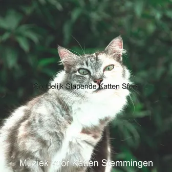 Goddelijk Slapende Katten Sfeer by Muziek voor Katten Stemmingen