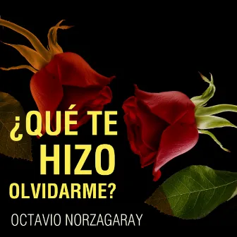 Qué Te Hizo Olvidarme? by Octavio Norzagaray