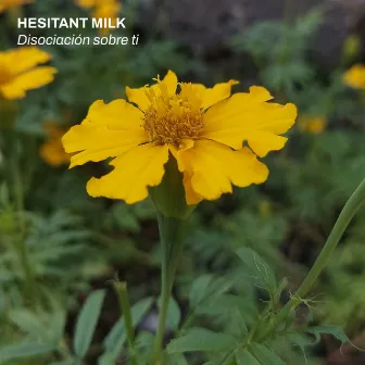 Disociación sobre ti by Hesitant Milk