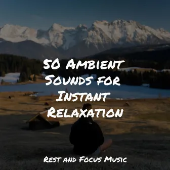 50 Ambient Sounds for Instant Relaxation by Ambientalism