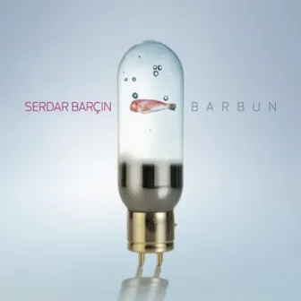 Barbun by Serdar Barçın