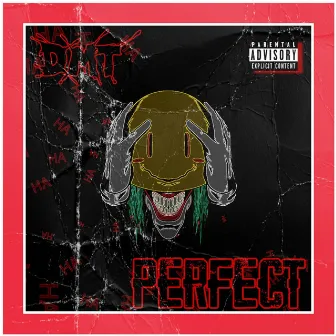 Perfect by D.M.T.