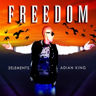 Freedom by 3 Elements