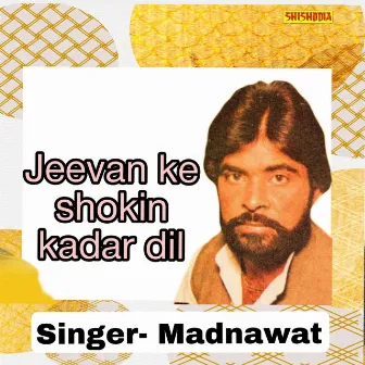 Jeevan Ke Shokin Kadar Dil by 