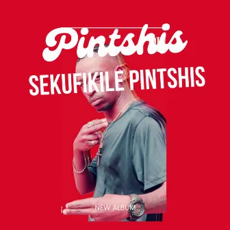 Sekufikile Pintshis by Pintshis