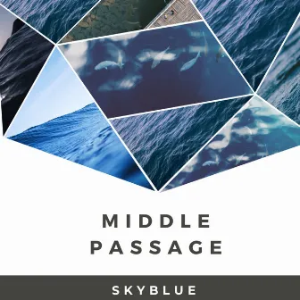 Middle Passage by Skyblue