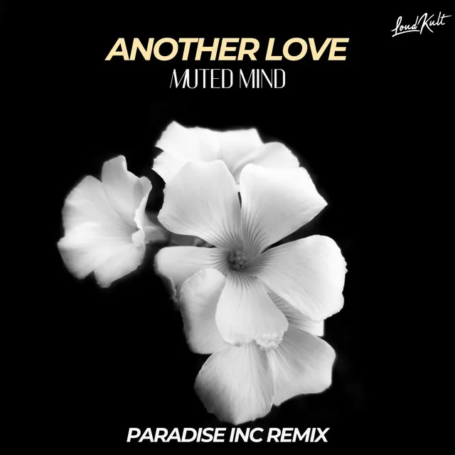 Another Love - Paradise Inc. Remix