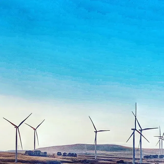 Windmills by the Road