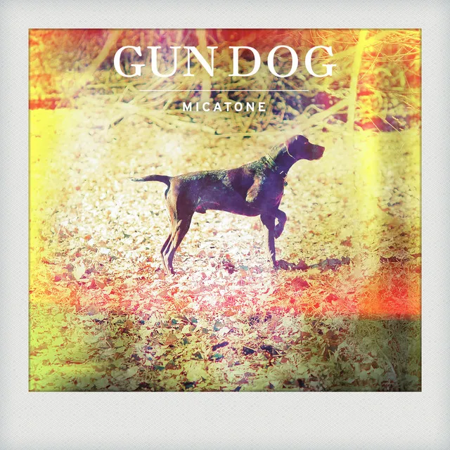 Gun Dog w / Alex Barck Remix