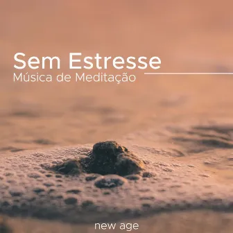 Sem Estresse: Música de Meditação para Equilibrio Emocional by Protomotivation