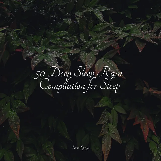 50 Deep Sleep Rain Compilation for Sleep