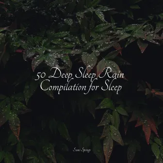 50 Deep Sleep Rain Compilation for Sleep by Deep Sleep Systems