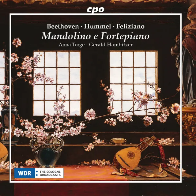 Sonata con variazioni in C Major: IIIe. Var. 4