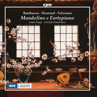 Mandolino e fortepiano by Gerald Hambitzer