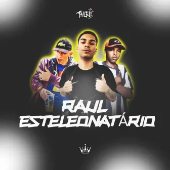 Raul Estelionatário by DJ WZ7