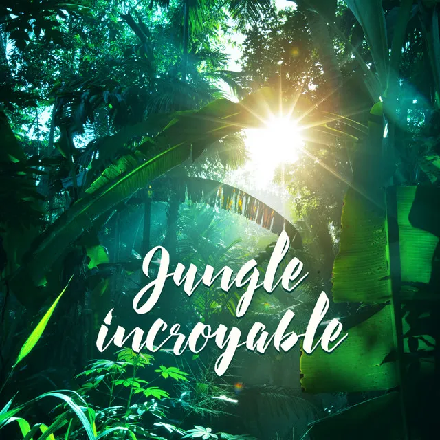 Atmosphères de jungle