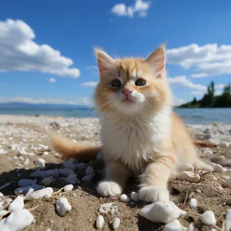 Música Junto Al Mar Para Gatos Oceánicos: Una Armonía De Ronroneos by Sonidos de la laguna azul tropical