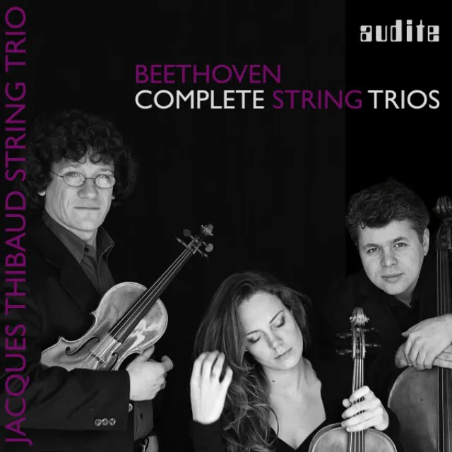 String Trio No. 4 in D Major, Op. 9/2: IV. Rondo. Allegro