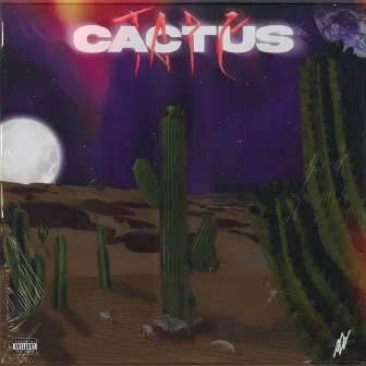 CACTUS TAPE by Yaw