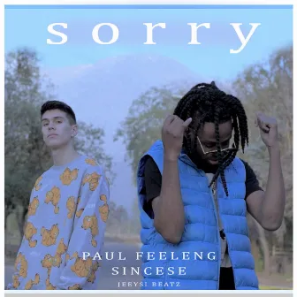 Sorry by Paul Feeleng