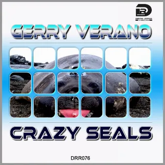 Crazy Seals by Gerry Verano