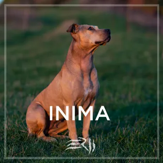 Inima by E.R.U.