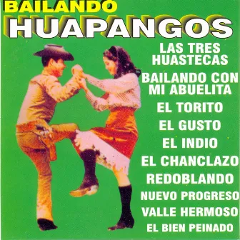 Bailando Huapangos by AJR All-Stars