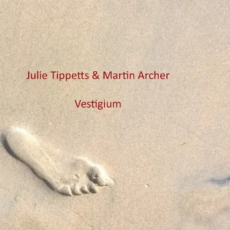 Vestigium by Julie Tippett