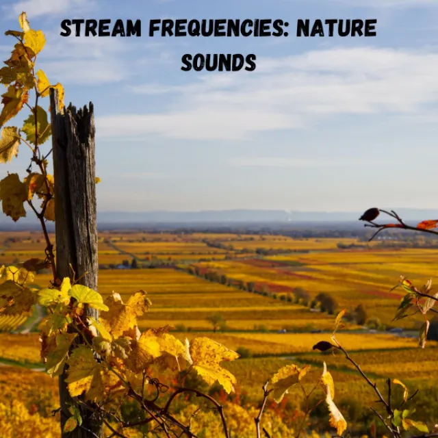 Stream Frequencies: Nature Sounds