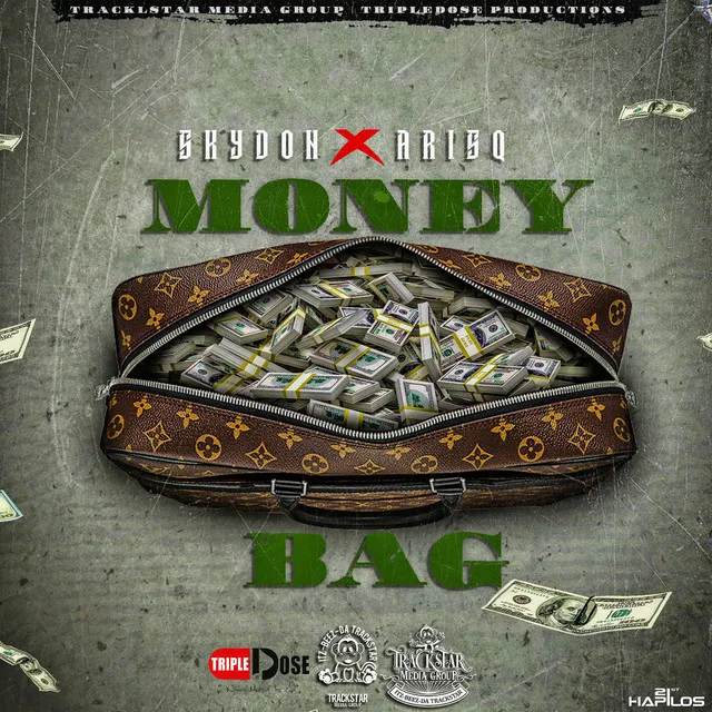 Money Bag