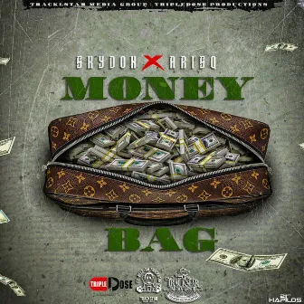 Money Bag by Arisq