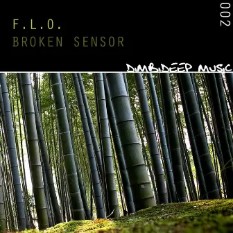 Broken Sensor EP by F.L.O.