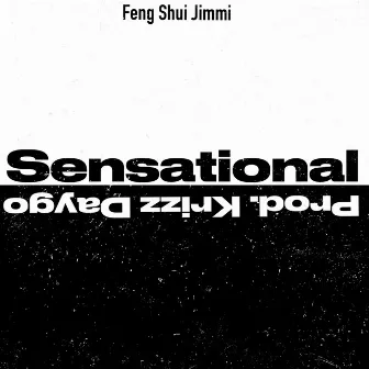 SENSATIONAL (Radio Edit) by Feng Shui Jimmi