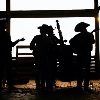 Bluegrass Honky Tonk_No Leads by Zev Weinstein