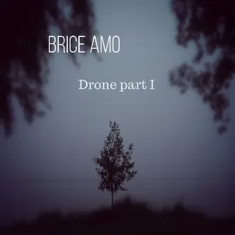 Drone I by Brice AMO