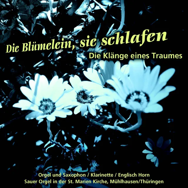 Die Blümelein, sie schlafen - Klänge eines Traumes: Andantino