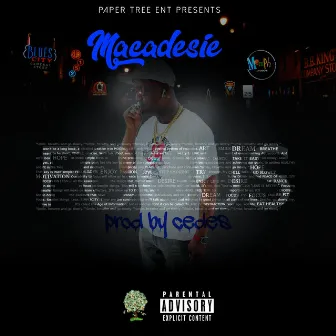 Focus by Macadesie