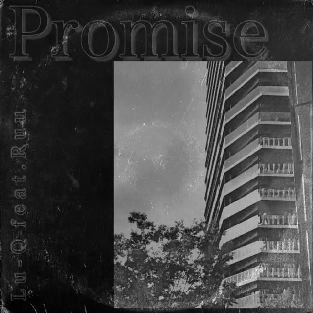 Promise