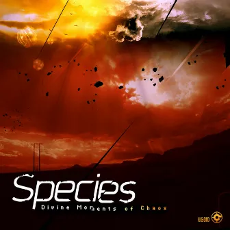 Divine Moments Of Chaos by Species