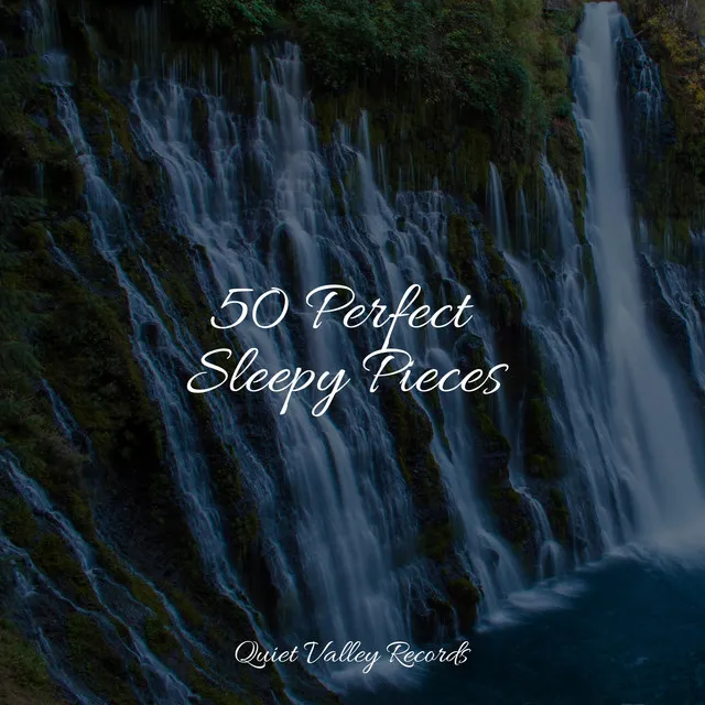 50 Perfect Sleepy Pieces