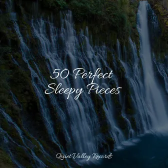 50 Perfect Sleepy Pieces by Musica para Massagem Especialistas