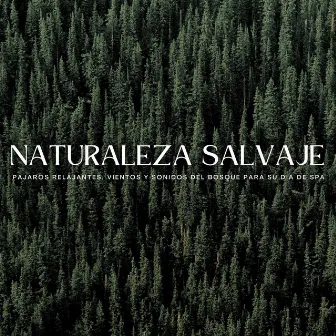 Naturaleza Salvaje: Pájaros Relajantes, Vientos Y Sonidos Del Bosque Para Su Día De Spa by Pájaros del oeste