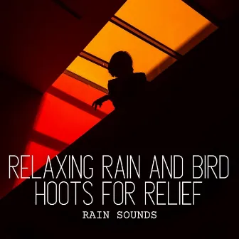 Rain Sounds: Relaxing Rain and Bird Hoots for Relief by Birds Of The West