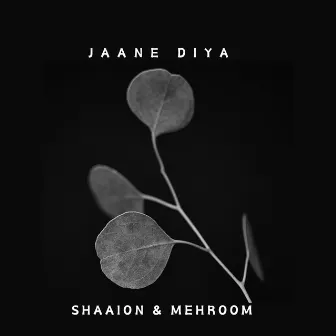 Jaane Diya by Shaaion